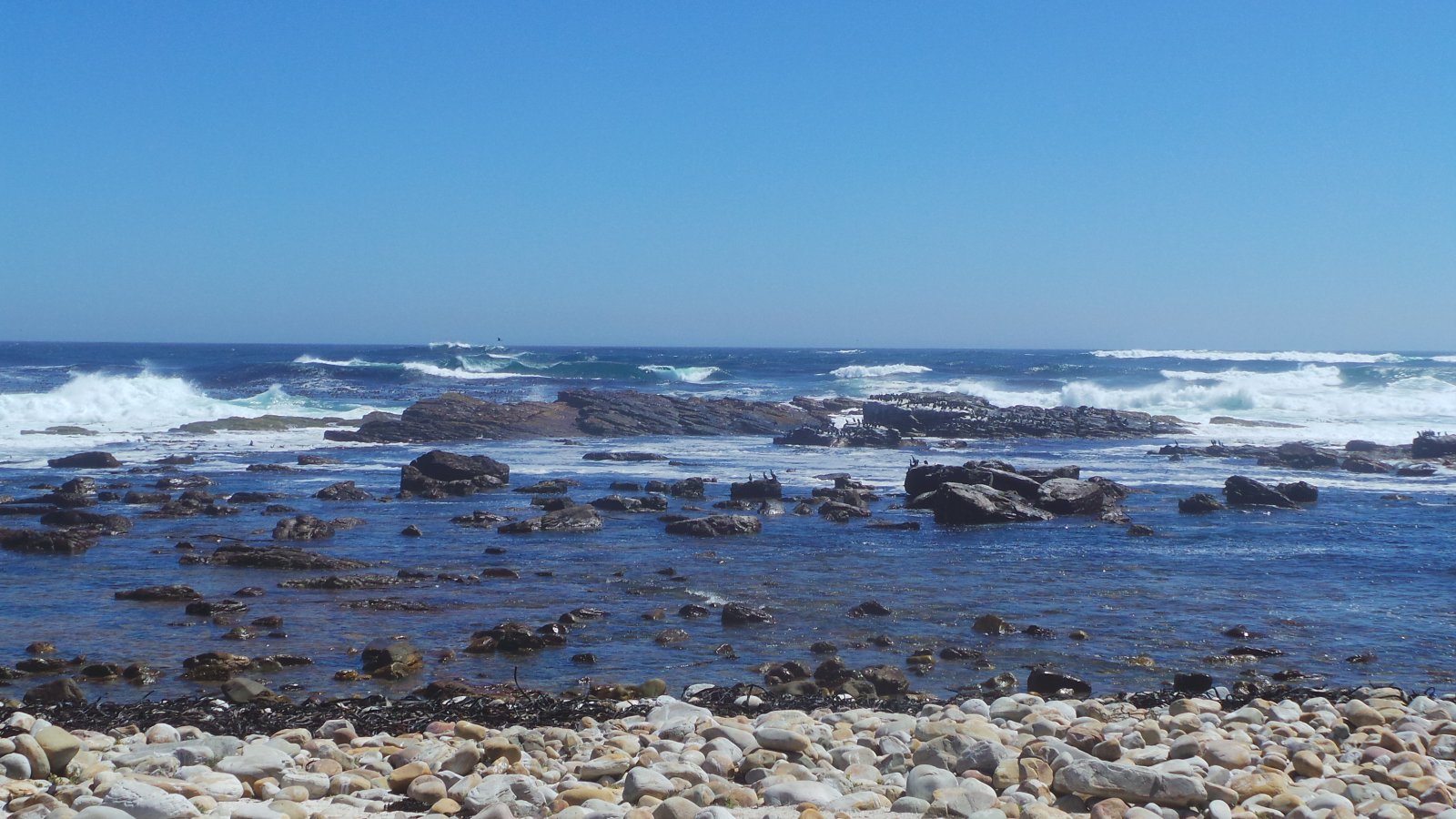 Cape of Good Hope07